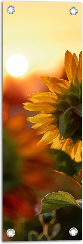WallClassics - Tuinposter – Zonnebloem van de Achterkant - 20x60 cm Foto op Tuinposter  (wanddecoratie voor buiten en binnen)