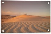 WallClassics - Tuinposter – Rustige Woestijn - 60x40 cm Foto op Tuinposter  (wanddecoratie voor buiten en binnen)