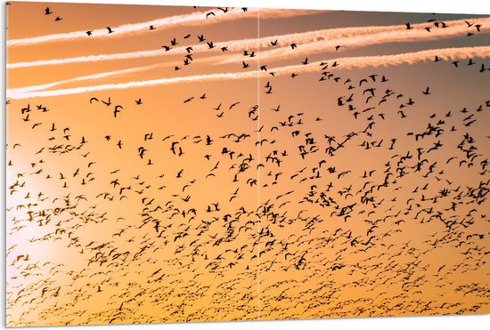 WallClassics - Acrylglas - Heel veel Vogels in de Lucht met Zonsondergang - 120x80 cm Foto op Acrylglas (Wanddecoratie op Acrylaat)