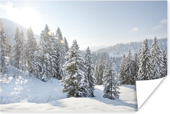 Poster De zon schijnt op de besneeuwde bomen bij een winterlandschap - 90x60 cm