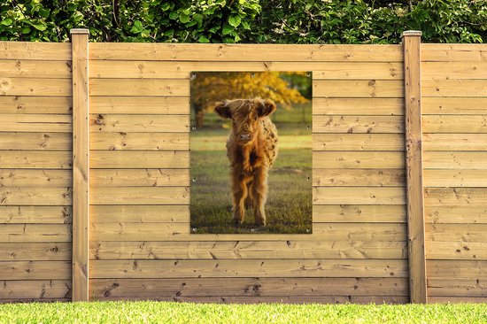 Affiche jardin - Toile Posters de jardin extérieur - Highlander écossais - Veau - Automne - 90x120 cm - Jardin