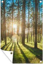 Tuindecoratie Zon - Bomen - Landschap - Gras - 40x60 cm - Tuinposter - Tuindoek - Buitenposter