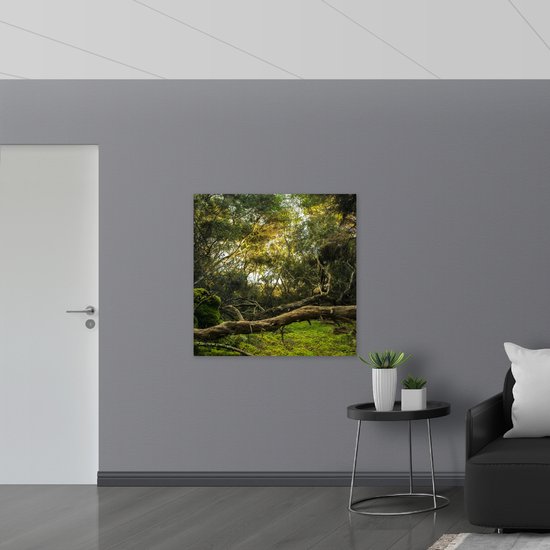 WallClassics - Bois - Troncs, Branches et Feuilles en Forêt - 100x100 cm - 12 mm d'épaisseur - Photo sur Bois (Avec Système d'accrochage)