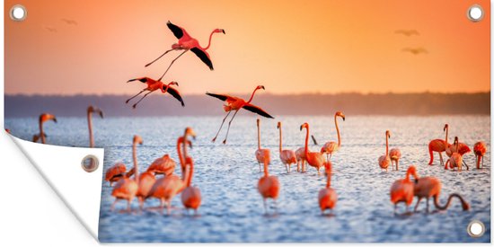 Vogel - Flamingo - Water - Zonsondergang - Tuindoek