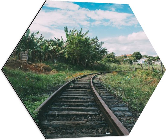 WallClassics - Dibond Hexagon - Chemin de fer à travers le paysage - 60x52,2 cm Photo sur Hexagone (avec système de suspension)