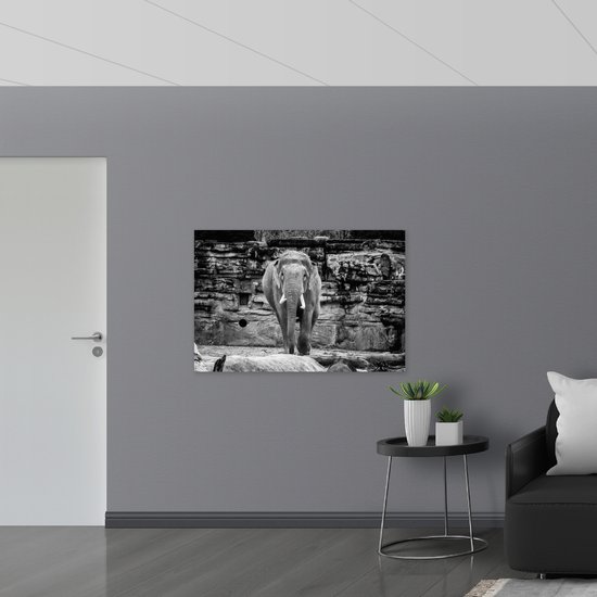 WallClassics - Drapeau - Éléphant au zoo Zwart - Wit - 120x80 cm Photo sur Drapeau Polyester