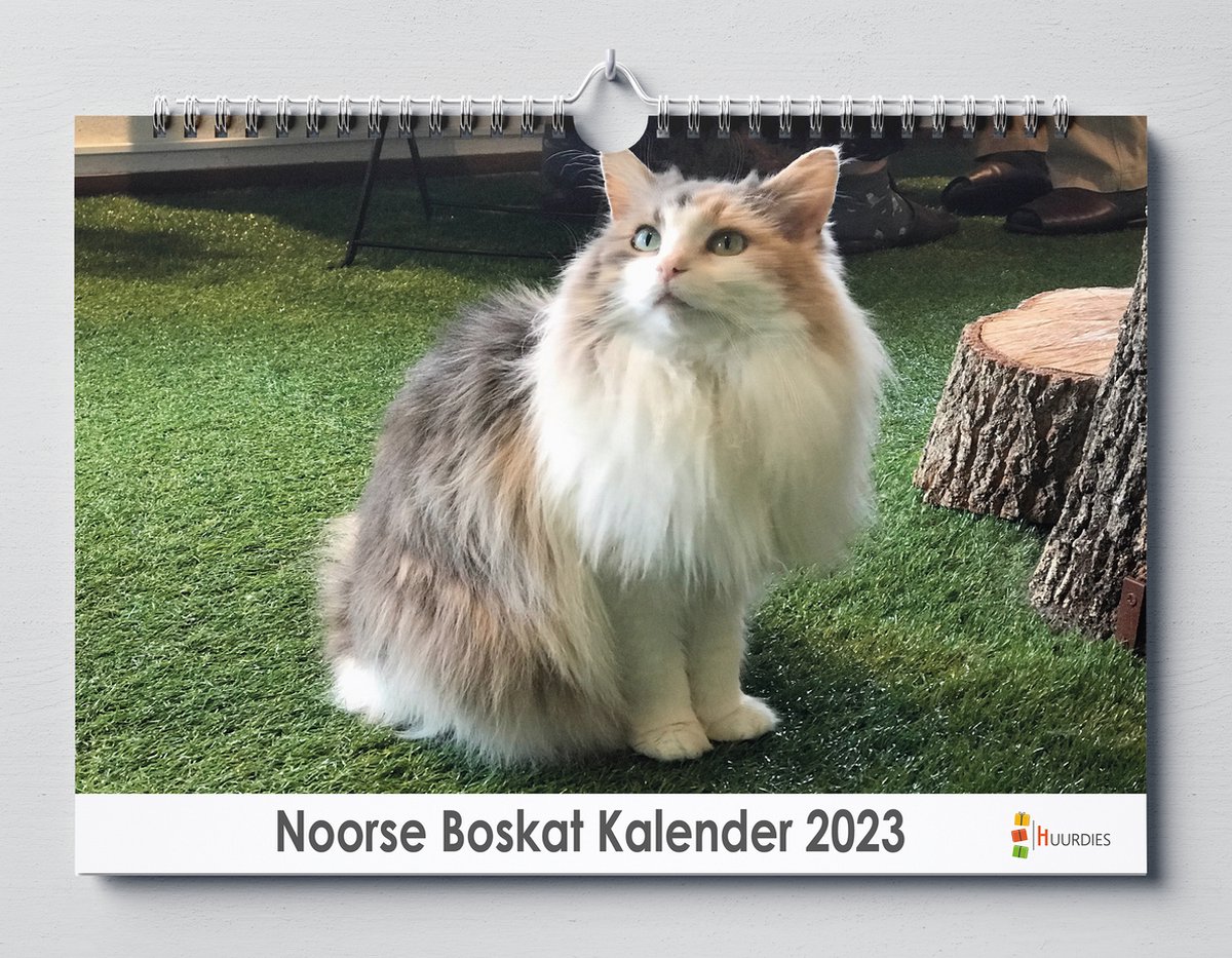 Noorse Boskat kalender 2023 | 35x24 cm | jaarkalender 2023 | Wandkalender 2023