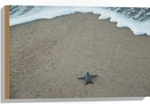 WallClassics - Hout - Kleine Baby Schildpad op het Strand - 60x40 cm - 12 mm dik - Foto op Hout (Met Ophangsysteem)