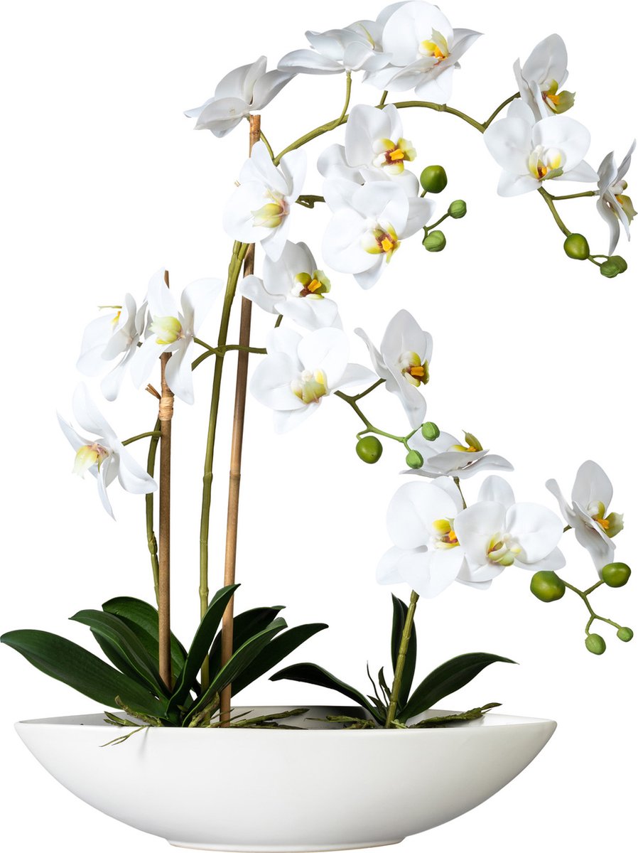 Kopu Kunstbloem Orchidee 60 cm Wit met Schaal Ovaal - Phalenopsis