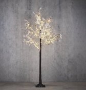 Luca Lighting - Boom bloem bruin frosted klassiek wit 125led IP 44 timer - h120xd60cm - Woonaccessoires en seizoensgebondendecoratie