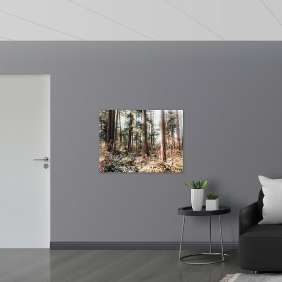 WallClassics - Panneau en mousse PVC - Vieux Arbres dans la forêt - Photo 100x75 cm sur panneau en mousse PVC (avec système de suspension)