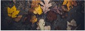 WallClassics - Poster (Mat) - Herfstbladeren in het Zand - 60x20 cm Foto op Posterpapier met een Matte look