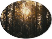 WallClassics - Dibond Ovaal - Schemer in het Bos - 40x30 cm Foto op Ovaal (Met Ophangsysteem)