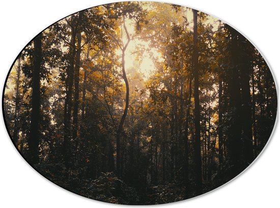 WallClassics - Dibond Ovaal - Schemer in het Bos - 40x30 cm Foto op Ovaal (Met Ophangsysteem)