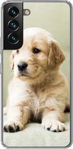 Geschikt voor Samsung Galaxy S22 Plus hoesje - Golden Retriever puppy liggend op de bank - Siliconen Telefoonhoesje