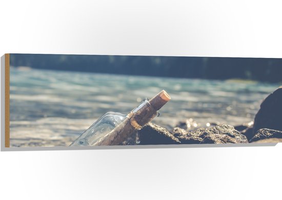 WallClassics - Hout - fles op rotsen - 120x40 cm - 12 mm dik - Foto op Hout (Met Ophangsysteem)