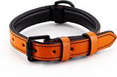 Brute Strength - Luxe leren halsband hond - Oranje - M - (36 - 43 cm) x 2,5cm