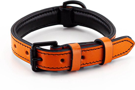 Potentieel Gelukkig Ouderling Brute Strength - Luxe leren halsband hond - Oranje - M - (36 - 43 cm) x  2,5cm | bol.com