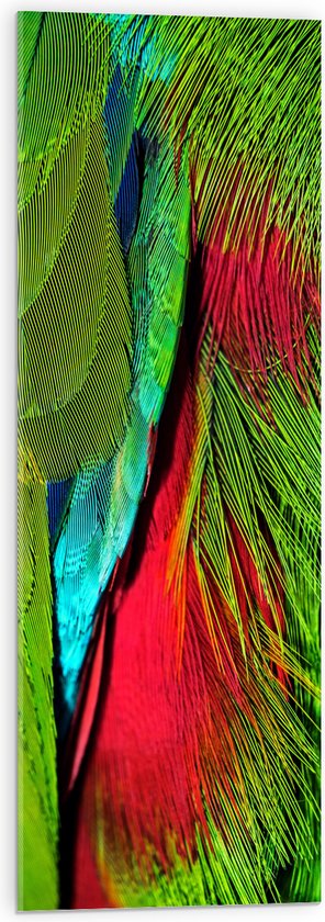 WallClassics - Acrylglas - Groen met Rode Veren van een Vogel - 30x90 cm Foto op Acrylglas (Met Ophangsysteem)
