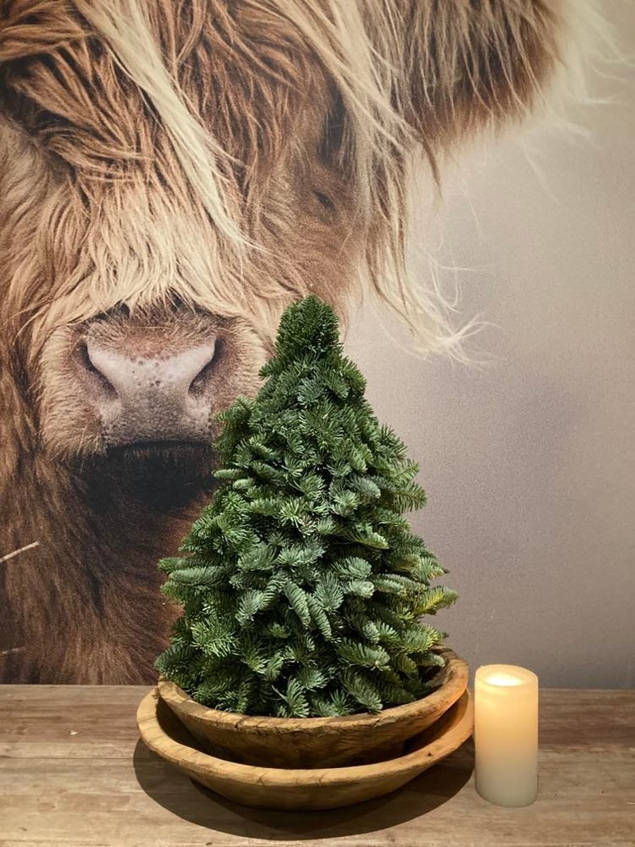 Nobilis kerstboom inclusief houten schaal 50 cm kerstdecoratie