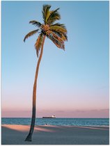 WallClassics - Poster Glossy - Palmier Solitaire - 30x40 cm Photo sur Papier Poster avec Finition Brillante