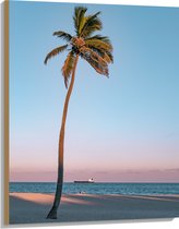 WallClassics - Hout - Eenzame Palmboom - 75x100 cm - 12 mm dik - Foto op Hout (Met Ophangsysteem)
