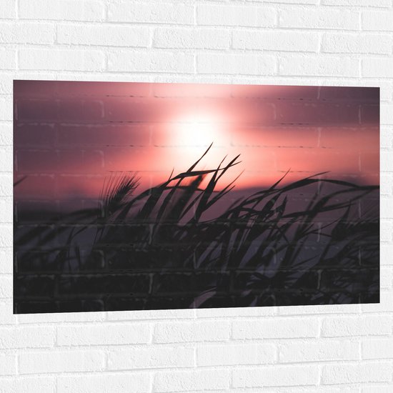 WallClassics - Muursticker - Donkere Grassen bij Rozekleurige Lucht - 105x70 cm Foto op Muursticker