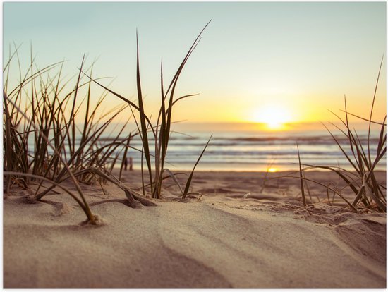 WallClassics - Poster Glanzend – Grassen in Duinen met Zon - 40x30 cm Foto op Posterpapier met Glanzende Afwerking