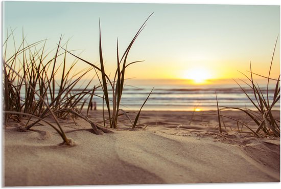 WallClassics - Acrylglas - Grassen in Duinen met Zon - 75x50 cm Foto op Acrylglas (Met Ophangsysteem)