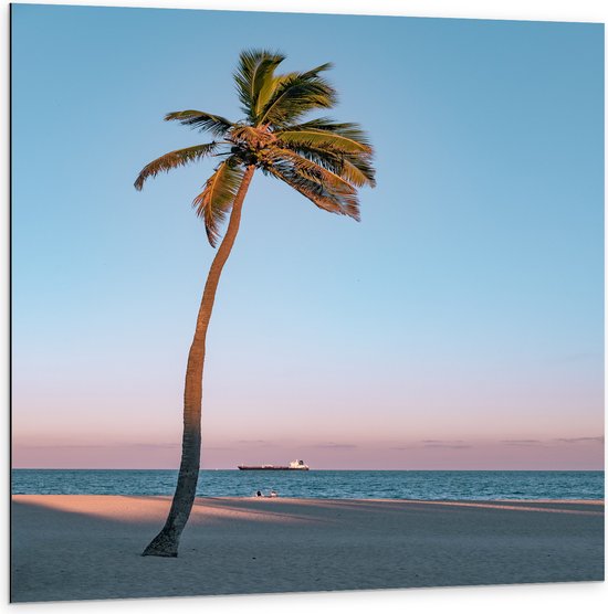 WallClassics - Dibond - Eenzame Palmboom - 100x100 cm Foto op Aluminium (Wanddecoratie van metaal)