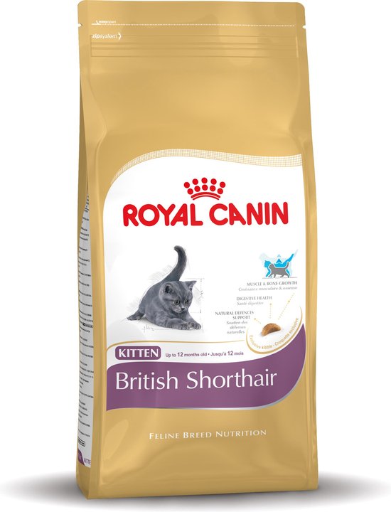 verliezen bevel verontschuldigen Royal Canin British Shorthair Kitten - Kattenvoer - 400 g | bol.com