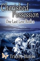 One Last Love Series 2 - Cherished Possession