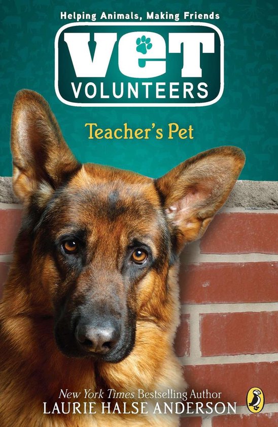 Vet Volunteers 7 - Teacher's Pet