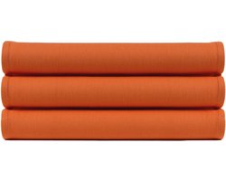 4 stuks theedoeken 50x70 cm uni pure terra col 2392