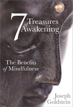 7 Treasures of Awakening