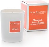 Max Benjamin - Geurkaars Classic - 190 g - Mimosa & Sweet Amber