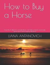 How to Buy a Horse: How the 4 Different Considerations Can Help Prepare and Make Good Sport Horse Buying Decisions