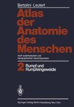 Atlas Der Anatomie Des Menschen. Nach Systematischen Und Topographischen Gesichtspunkten: Band 2: Rumpf Und Rumpfeingeweide