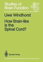 How Brain-like is the Spinal Cord?