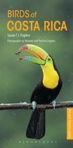 Pocket Guide To The Birds Of Costa Rica