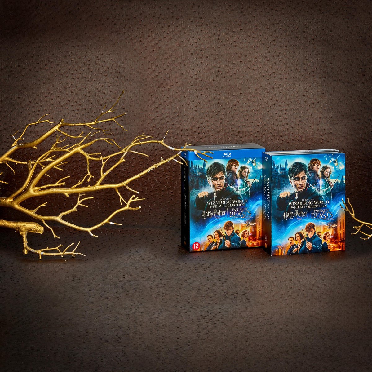 L'intégrale Harry Potter et les Animaux Fantastiques en coffret