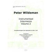 Wildeman, Instrumentaal intermezzo 2