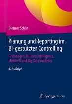Planung und Reporting im BI-gestützten Controlling