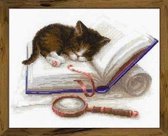 Borduurpakket Kitten Op Het Boek - Riolis