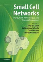 Small Cell Networks