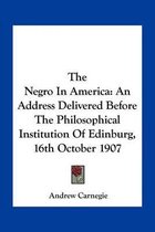 The Negro in America