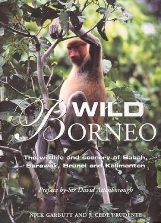 Wild Borneo