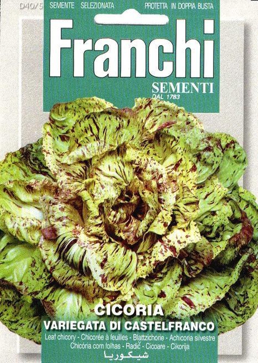 Franchi - Cicoria Castelfranco - roodlof