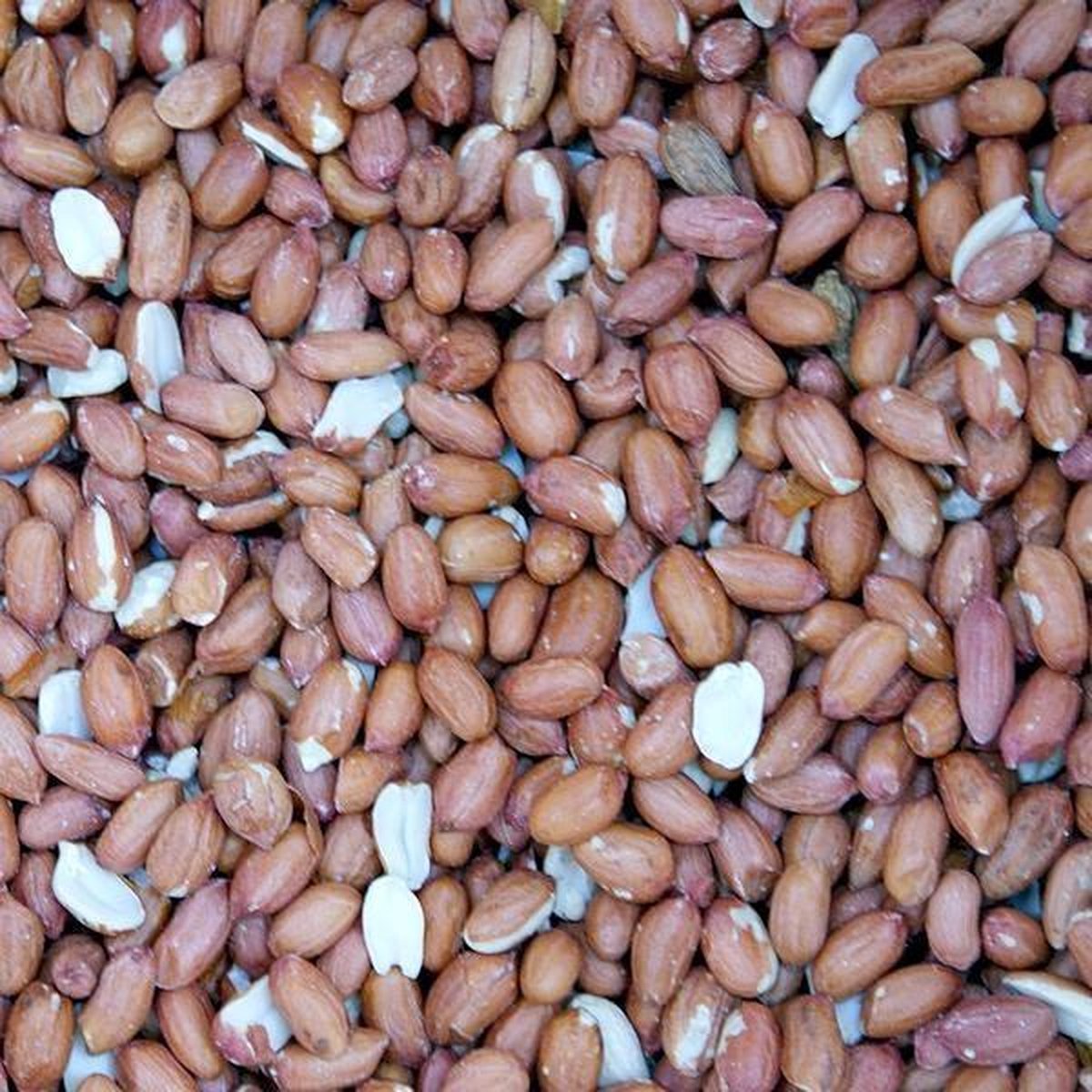 Strooipindas 0,9 kg