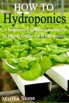 How To Hydroponics